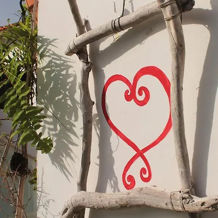 Casa La Ranita Bed and breakfast