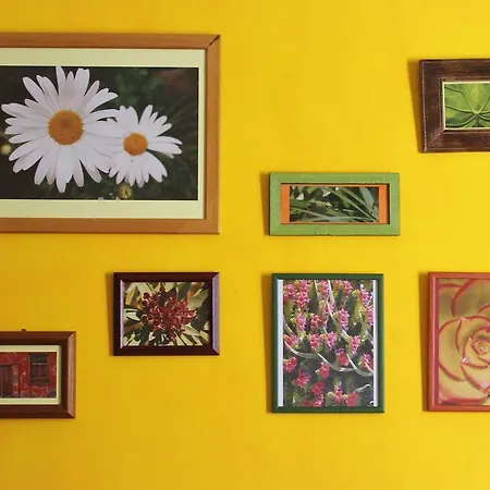 住宿加早餐酒店 Casa La Ranita 洛斯瑟罗斯