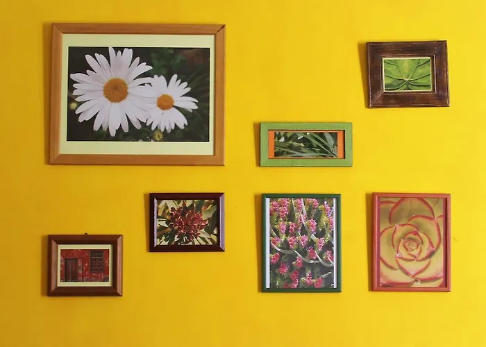 Couette-café Casa La Ranita Los Silos